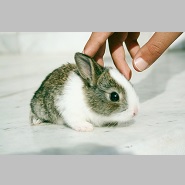 3003205194_d677841ac4